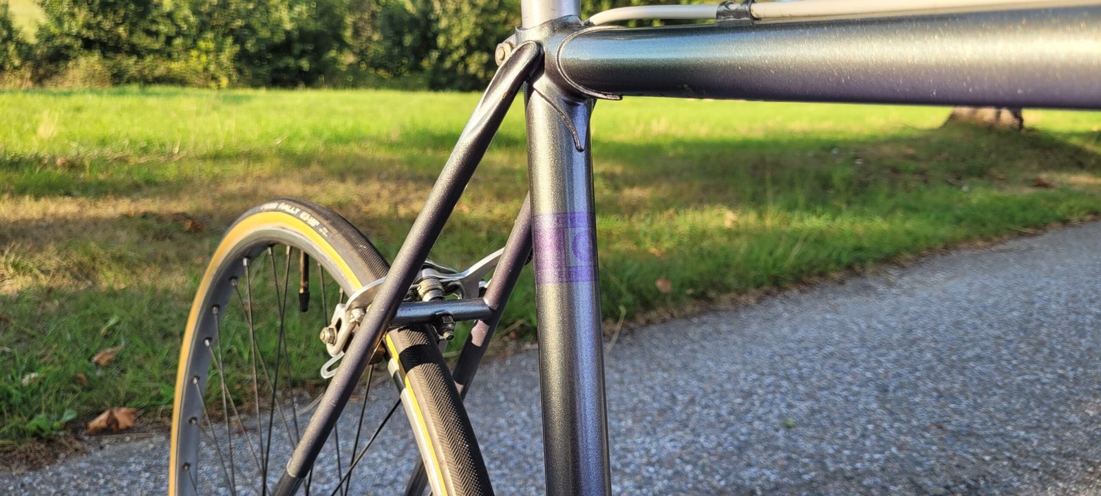 reynold 531 gian robert weinman classic rare italian french bike vintage concor competition vittoria 1978-cycle raymond