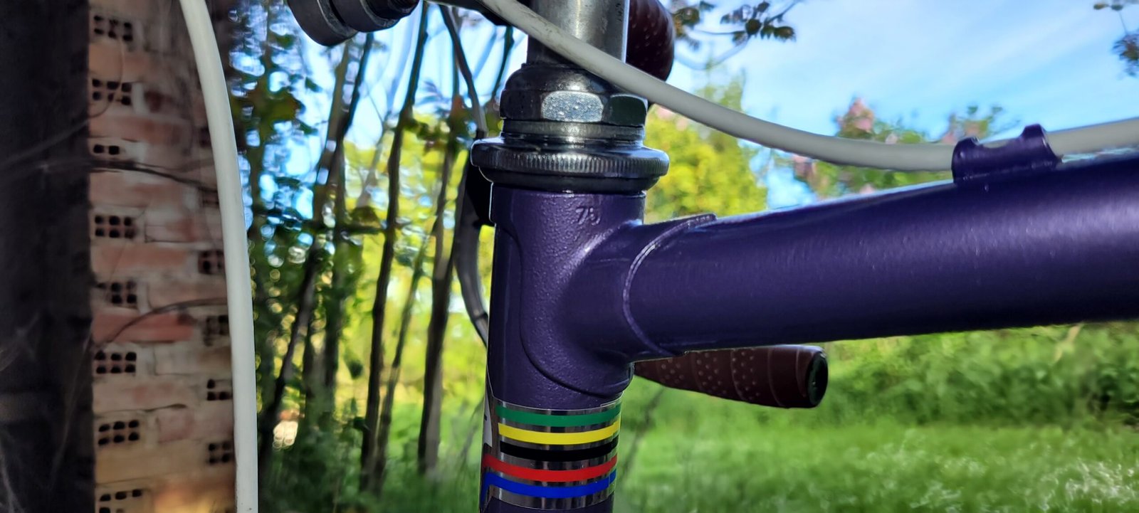 purple Louison Bobet vintage bike- cycles raymond