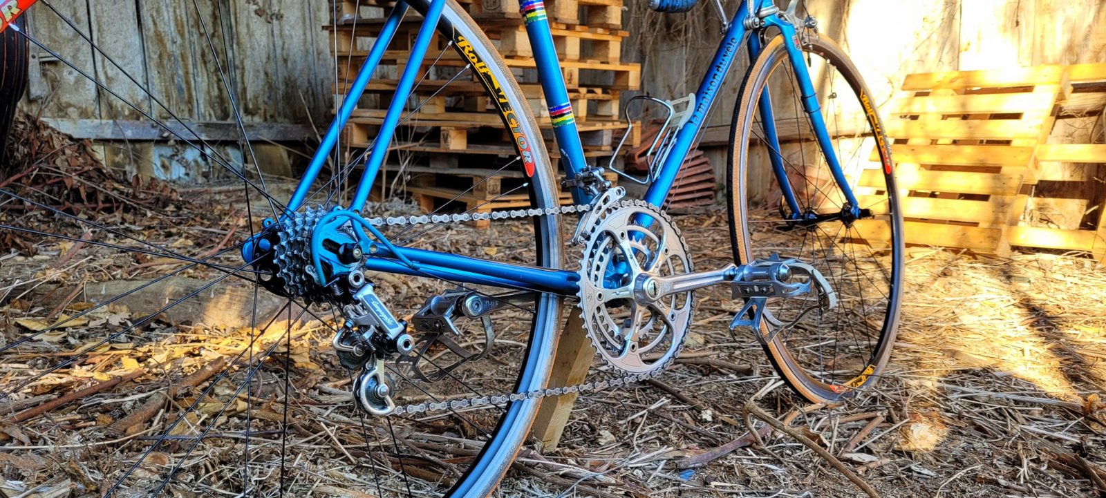 vintage bike BACO Paris la maison du vélo campagnolo super record rolf vector competition-cycle raymond