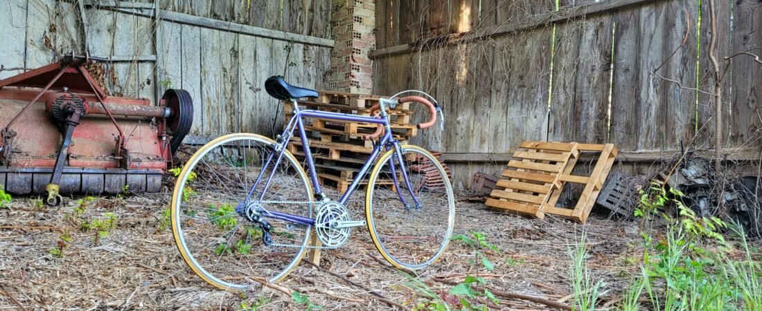 Louison Bobet 1982
